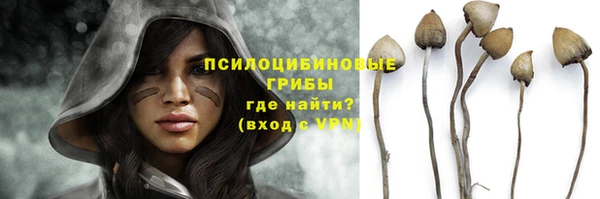 ПСИЛОЦИБИНОВЫЕ ГРИБЫ Вязьма
