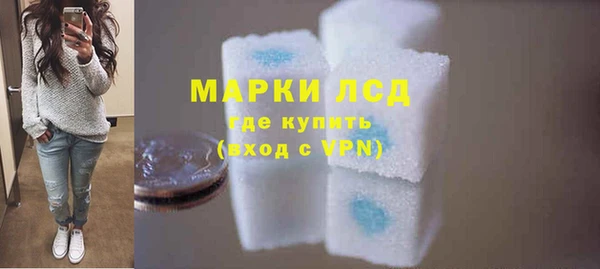 ПСИЛОЦИБИНОВЫЕ ГРИБЫ Вязьма