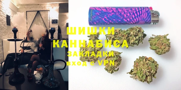 ПСИЛОЦИБИНОВЫЕ ГРИБЫ Вязьма